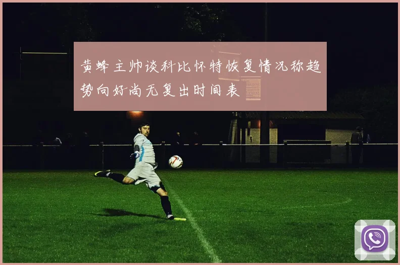 黄蜂主帅谈科比怀特恢复情况称趋势向好尚无复出时间表